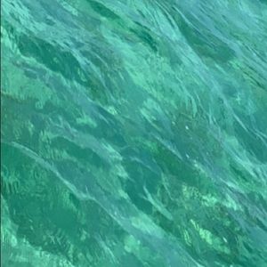 Meet your Posher, Lorelei